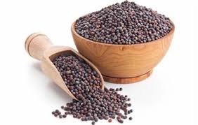 கடுகு பெரியது 1 Kg